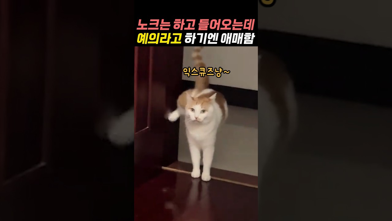 노크는 하고 들어오는데 예의라고 하기엔 애매함...ㅋ