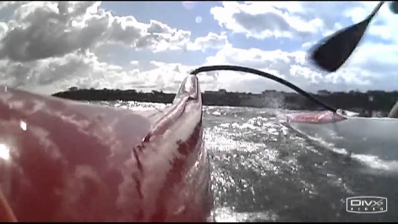 Outrigger contest Guethary- Fetes du port