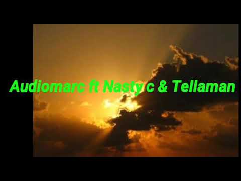 Audiomarc ft Nasty c & Tellaman Catch it lyrics