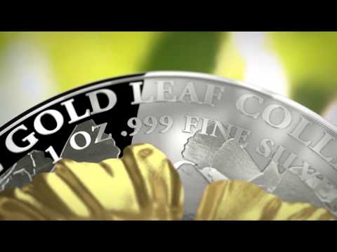 Arany ginkgo biloba levél - Gold leaf