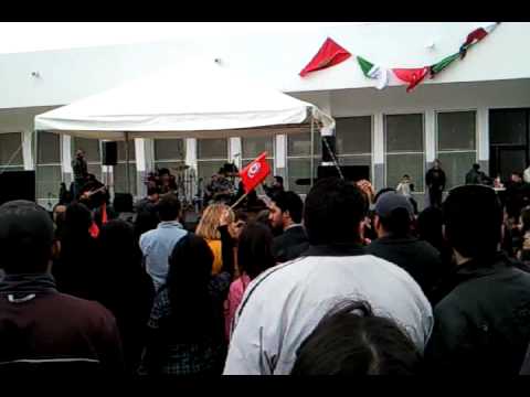 BarBarOots - N3ich free (à l'école de veterinaire, Tunis)