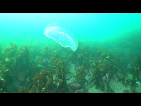 Bjørn Charles Dreyer with KSO -Time and Mass teaser video