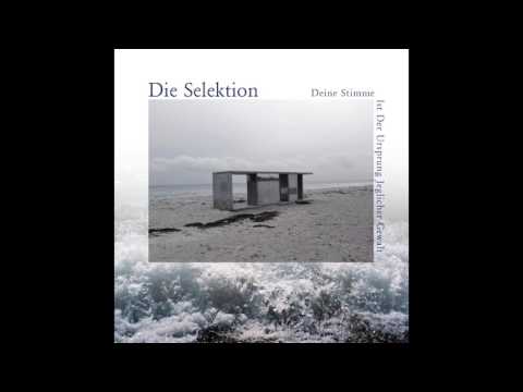 Die Selektion - Der Himmel Explodiert (feat. Drangsal)