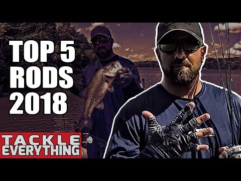 Top 5 Best Rods For Bass Fishing