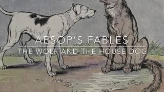 Aesop’s Fables The Wolf and the House Dog Narrated by Jon Wilkins