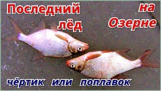 Озернинское водохранилище отчеты о рыбалке 2020 апрель