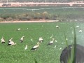 The Best Solution For A Hot Day Agamon Hula Park Israel