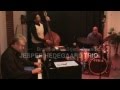 Jesper Hedegaard Trio - What it means to me ...