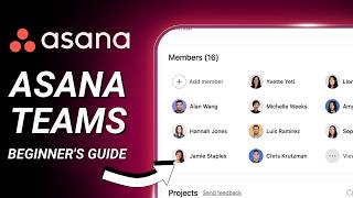 How to Use Asana Teams: Create Projects, Add Members & Set Permissions (Step-by-Step)