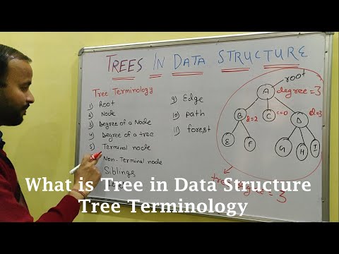 Introduction to Data Structure and types hindi