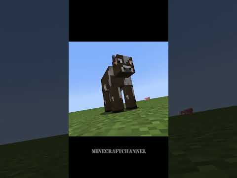 EPIC Realistic Texture Pack for Minecraft 2024!!