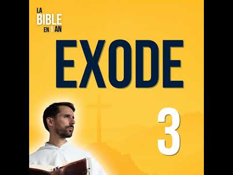 D27 - The Call of the Burning Bush - evening ☾