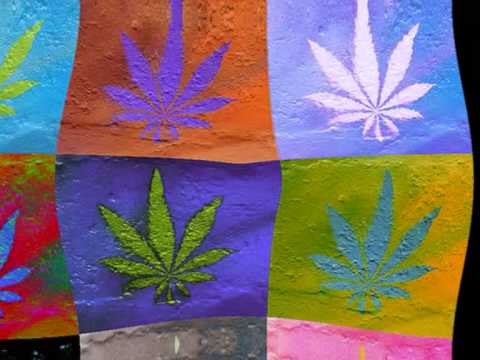 Mighty Tolga feat D Flame Highsgeliebtes Gras