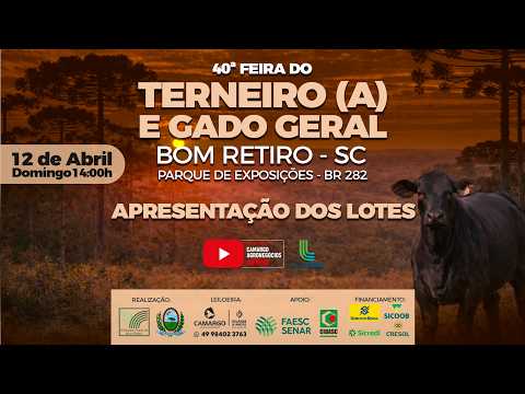 Apresentação dos Lotes da Feira do Terneiro(a) de Bom Retiro