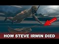 Steve Irwin Death Video Footage Recreation