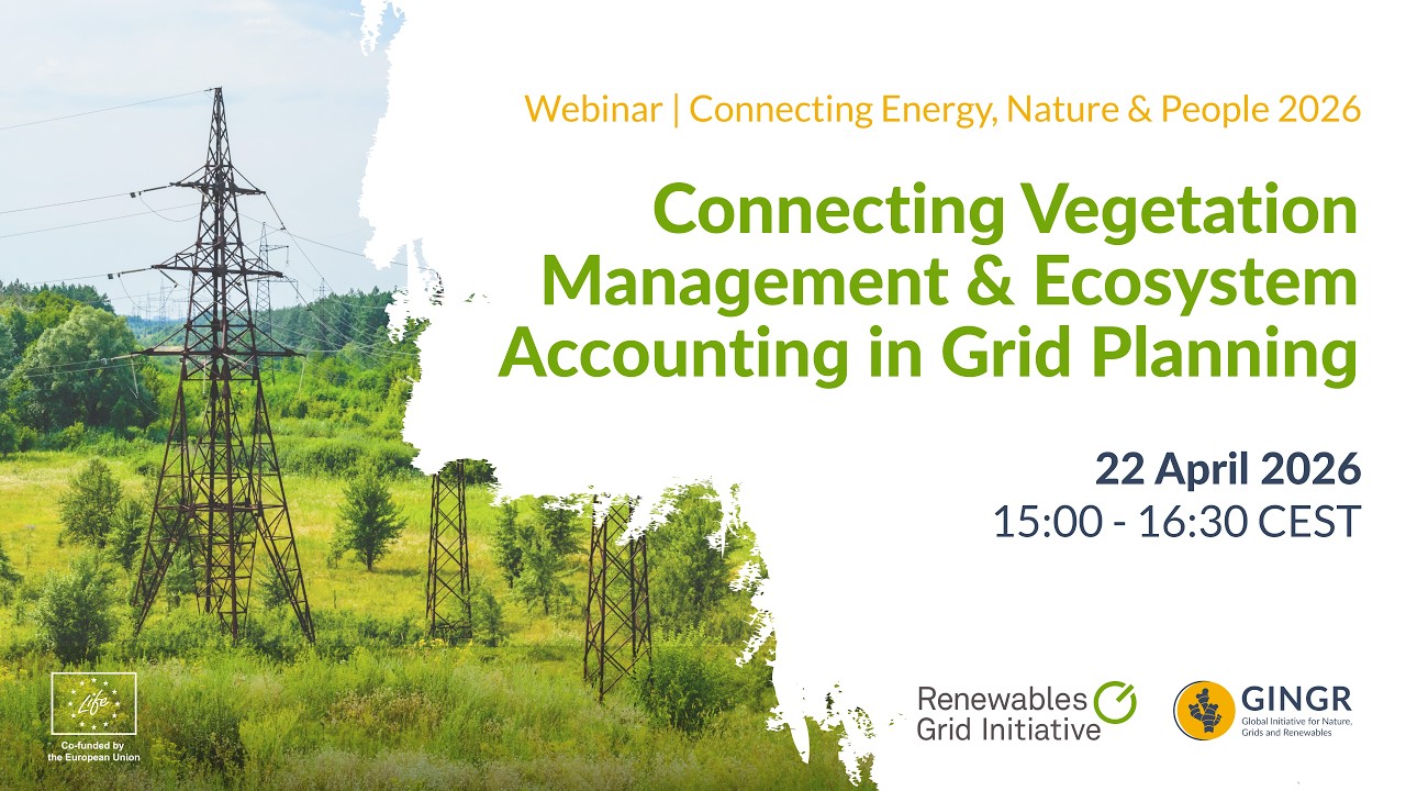 Connecting Vegetation Management & Ecosystem Accounting in Grid Planning