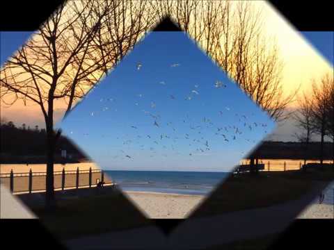 elizabeth serenade by the James last Band