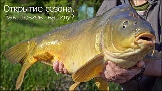Ссылка