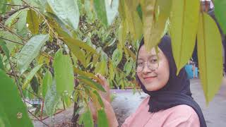 Download lagu Lagu Sunda Sancang- Yayan Jatnika Cover by Putri Rwj mp3