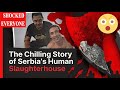 The Chilling Story Of Serbia S Human Slaughterhouse