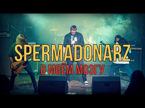 SPERMADONARZ - В МОЁМ МОЗГУ (LIVE) | ROCK CONCERT | CLUB MOD