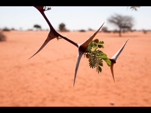 Best of Namibia - 2019