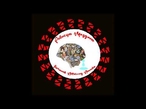 Polucija Mozgova - Ispravak Netočnog Navoda (2013) [Full EP] 320kbps