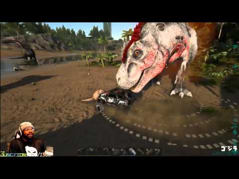 Two Buggy vs. Alpha Rex