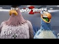 The Angry Birds Movie 2 Clip - Key Card