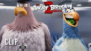 Video thumbnail for THE ANGRY BIRDS MOVIE 2</br> Clip: Key Card