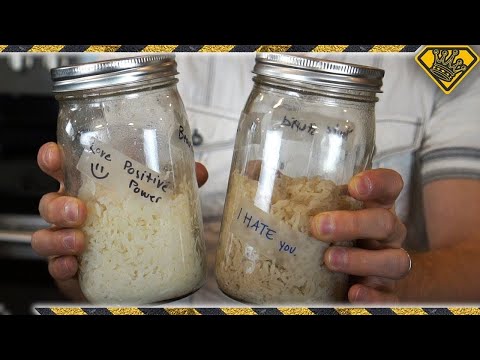 Interesting Experiment With Cooked Rice
