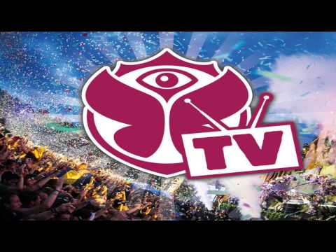 Tomorrowland 2013 Best of Tomorrowland summer mix hardwell avici afrojack MsPolodj  Electro & House