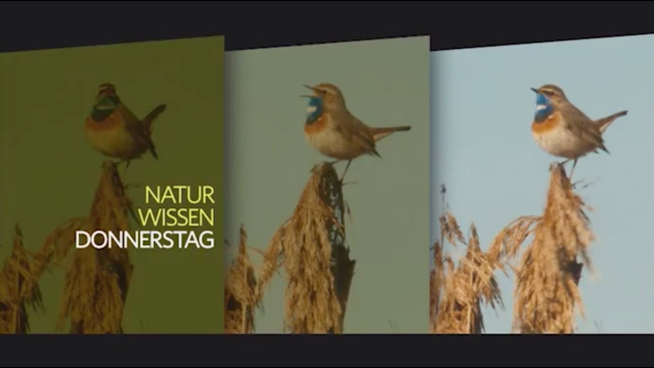 Promotrailer Natur ORF III