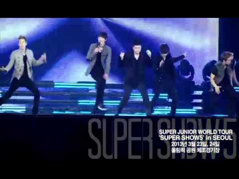LulaPrinds - Super Junior World Tour 'SUPER SHOW 5' in Seoul.(HD)
