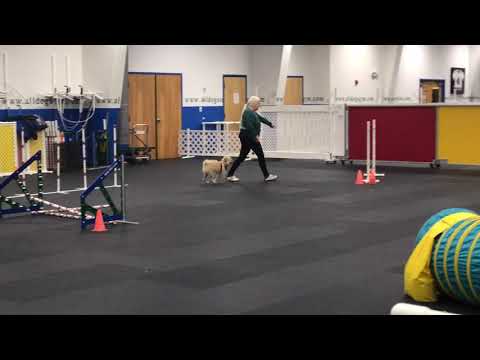 Happy Learning Agility!