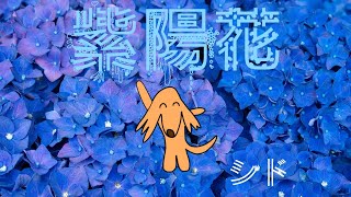 - 【VOCALOIDカバー】紫陽花/シド feat.夏色花梨
