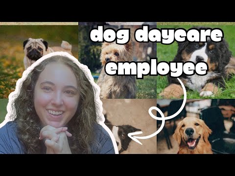 Petsuites Careers