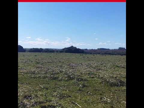 Chacra Paso del Tigre 9.5 ha