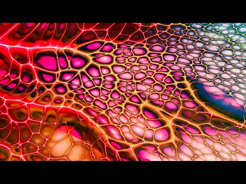 #207 Spin Art Part II / SheleeArt/ Bloom Technique / Fluid Art