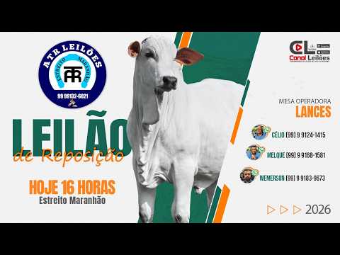 LEILÃO DE REPOSIÇÃO A.T.R LEILÕES | ESTREITO-MA 13/03/2026