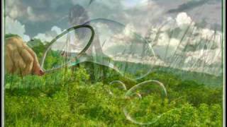 Presuntos Implicados - Bárbara del Campo