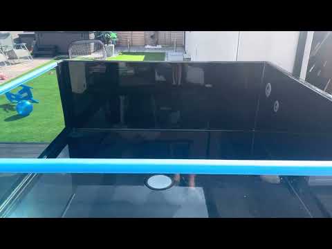 My new EZ pond 1000 Gallon!