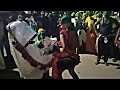 பால் குடிக்கும் மாடு Karakattam Tamil