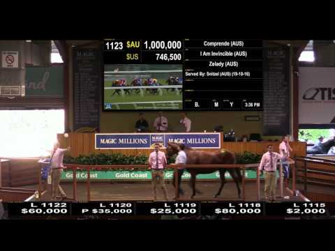 Lot 1123 - Comprende (AUS) - 2017 National Broodmare Sale