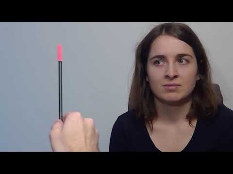 Gesichtsfeldausfall - Tipps und Ideen für das Kompensationstraining im Alltag