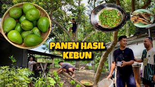 Download lagu HARVESTING AVOCADO NEAR HOME AND PROCESSING VEGETABLES FROM OUR OWN GARDEN ‼️A SEASONAL HEAVY RAIN😍 mp3 Download lagu HARVESTING AVOCADO NEAR HOME AND PROCESSING VEGETABLES FROM OUR OWN GARDEN ‼️A SEASONAL HEAVY RAIN😍 mp3