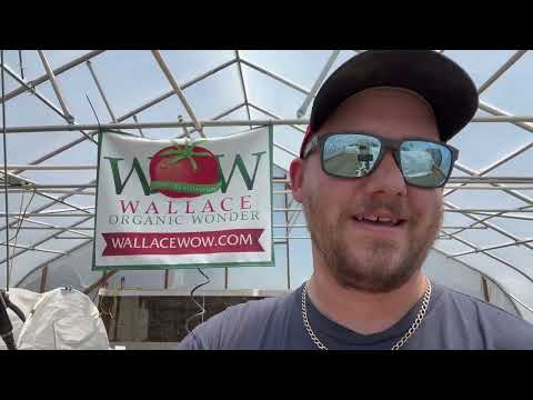 Giant Pumpkin Irrigation