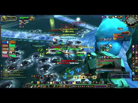 IMMERSEUS 10 HC   HERMANDAD YIN YANG - TAURI WOW