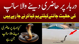 Sanp ki haqeeqat samny any wali hai |Horror video |Raaz ki bat |Ghost video |Ghost Hunting |Scary