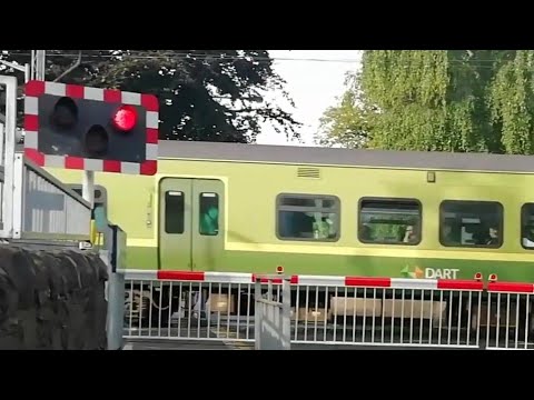 Sydney Parade Level Crossing. 21/8/2019.